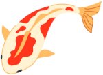 Dynaplas