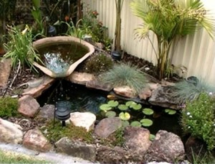 ponds